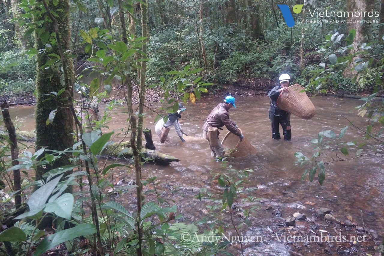 Wildlife in Bidoup Nuiba National Park?