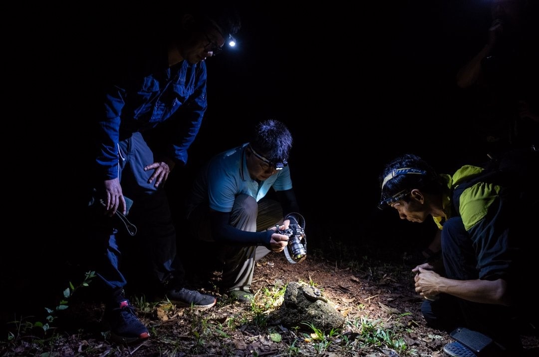 How to discover wildlife at night in Cat Tien National Park?