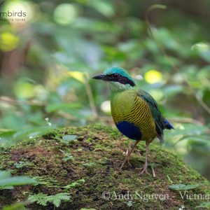 Cat Tien National Park 3