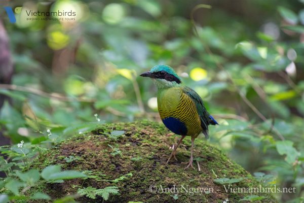 Cat Tien National Park 3