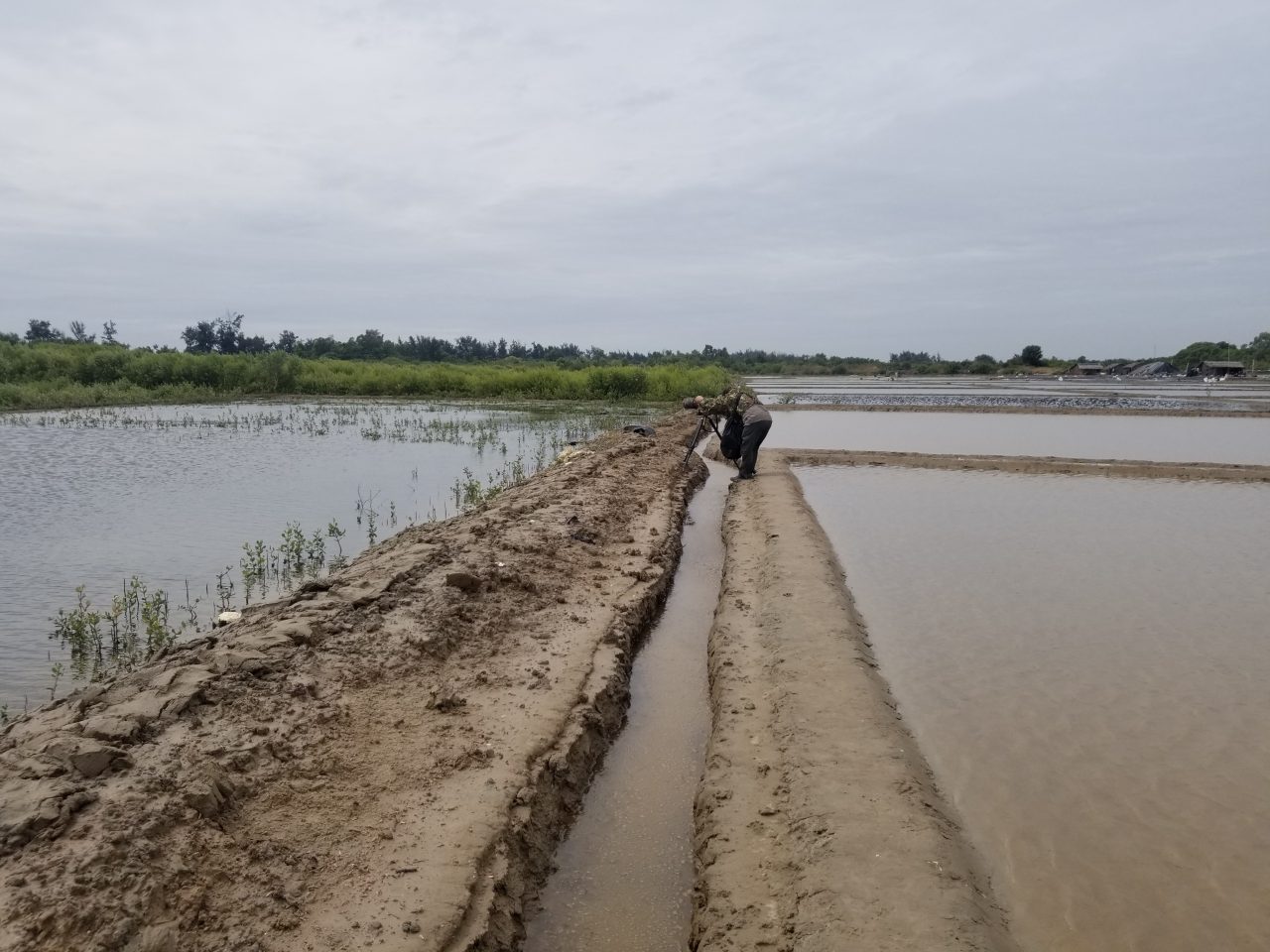 Can Gio salt farms